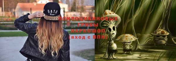 бутират Алексин