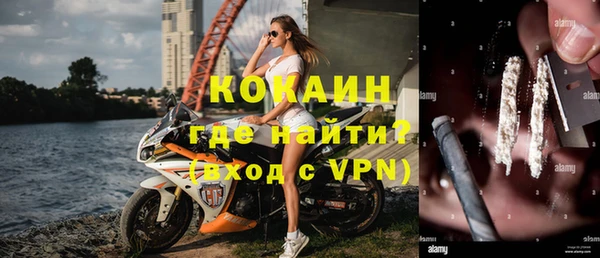винт Алзамай